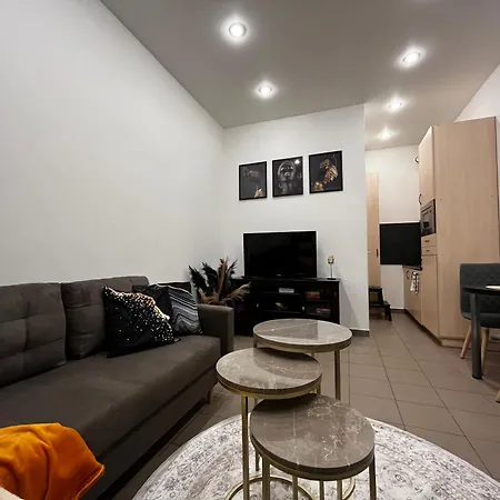 Senamiescio Studija Apartment Kaunas