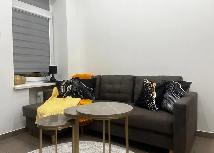 Senamiescio Studija *